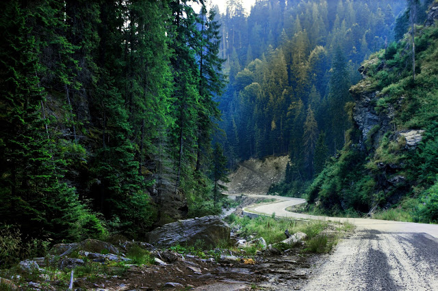 Labirint Valea Sebesului